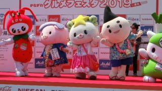 ゆる党 たかたのゆめちゃん えびーにゃ えぼし麻呂 ふっかちゃん あゆコロちゃん さのまる