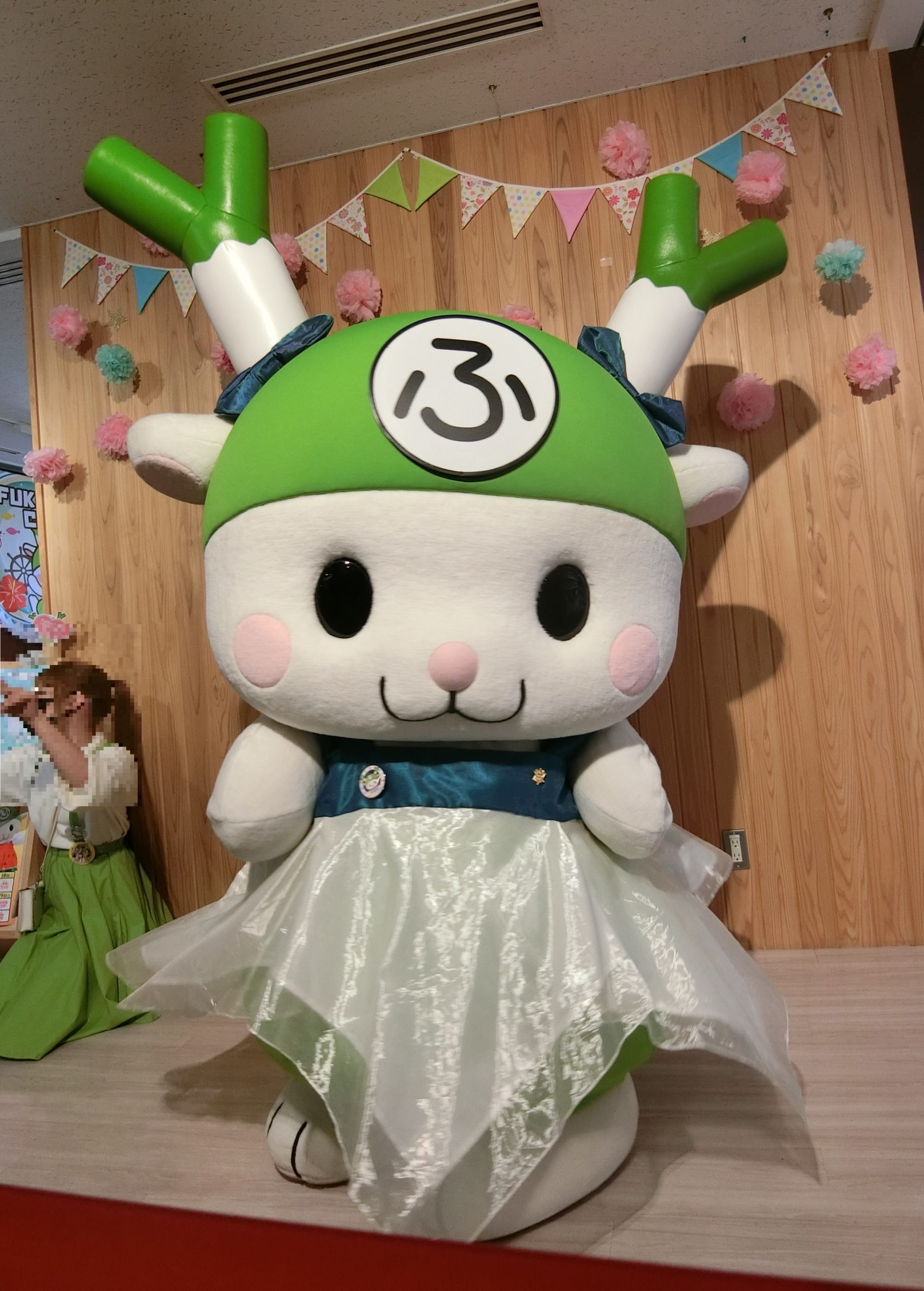 ふっかちゃん 写真集その1 ゆるキャラ ふっかちゃん 写真集その1 ゆるキャラ