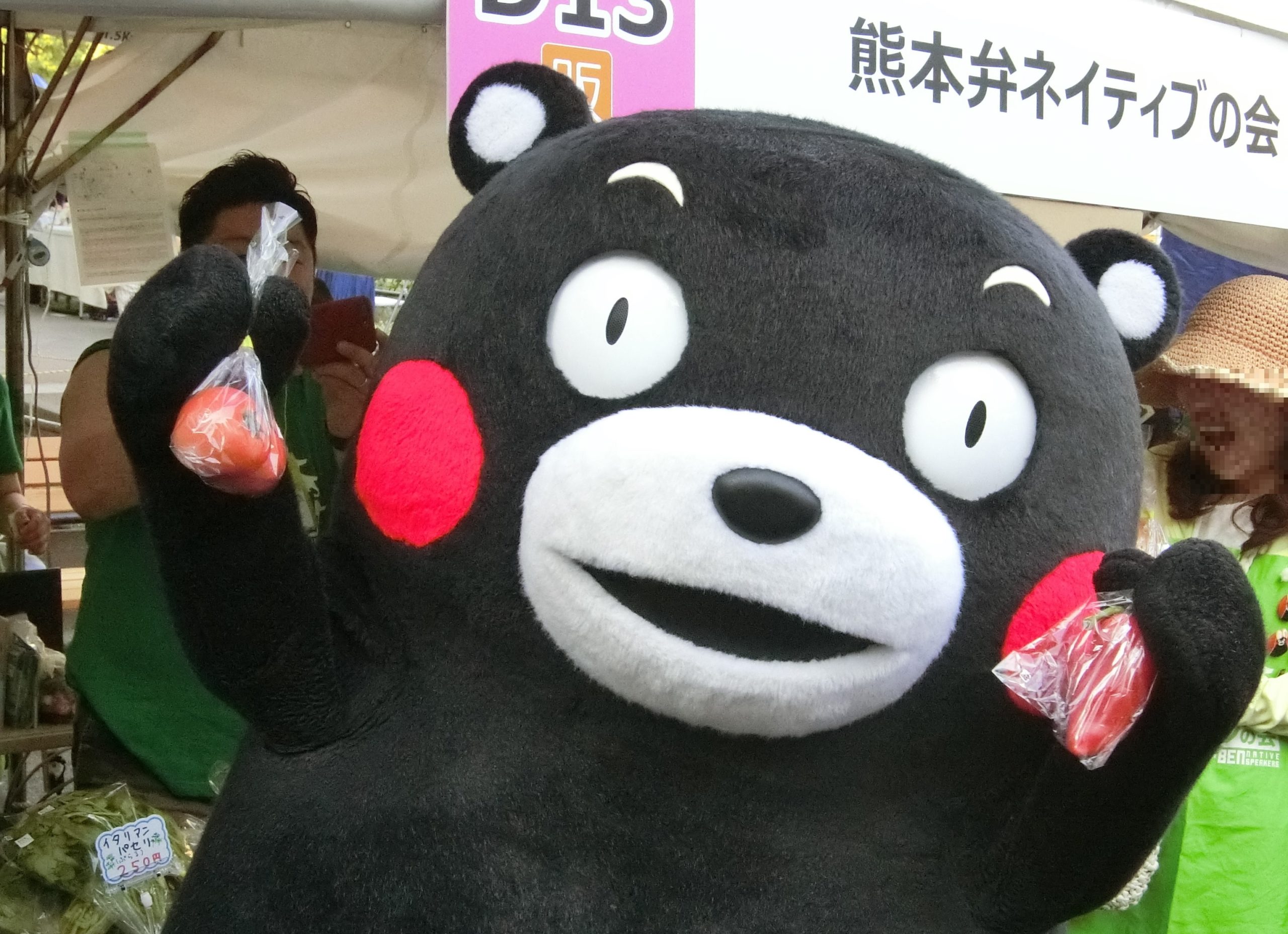 くまモン」写真集その1｜ゆるキャラ
