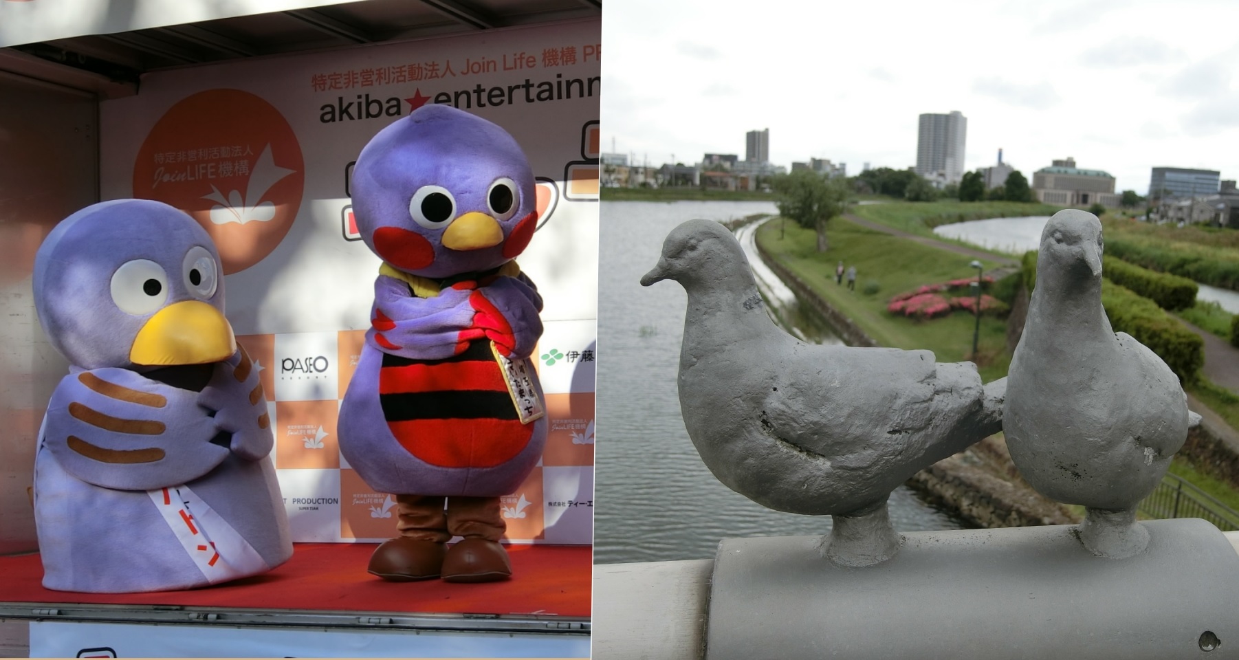 コバトン さいたまっち と埼玉県の鳥シラコバト しらこばと ゆるキャラ