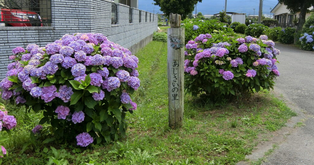 開成あじさいの里