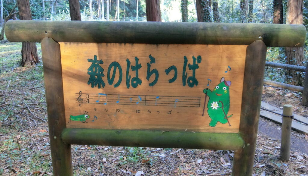 泉の森