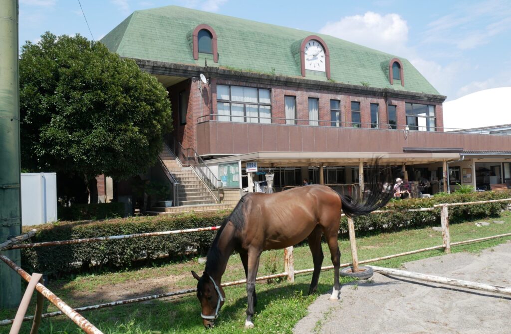 群馬県馬事公苑