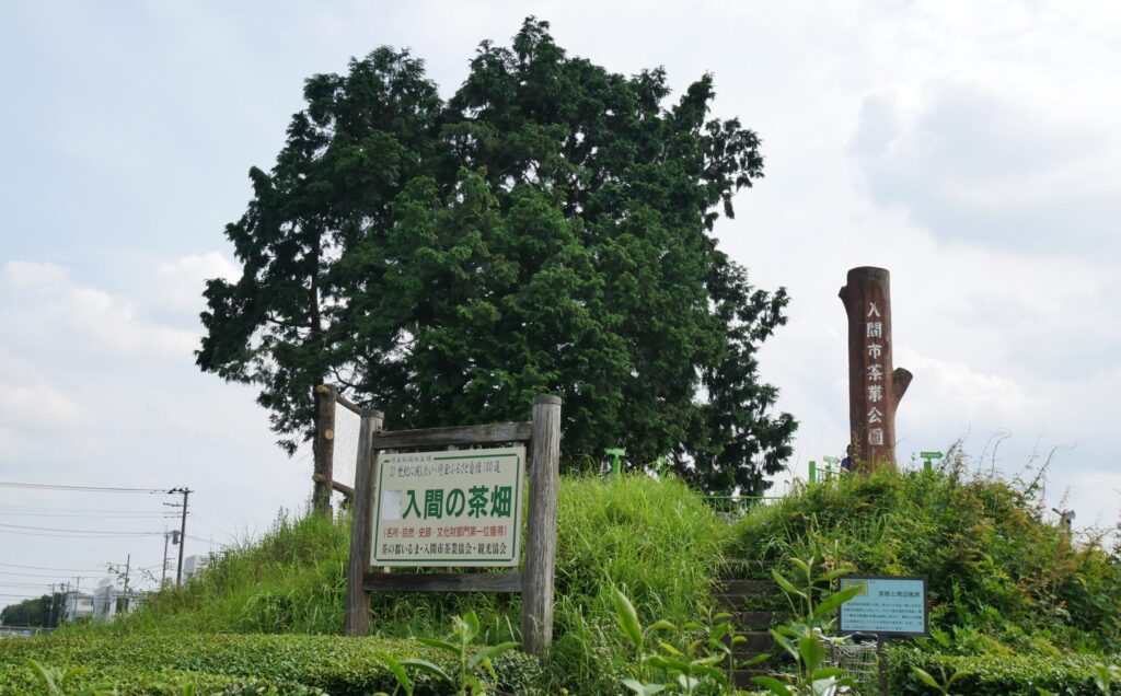 入間茶業公園