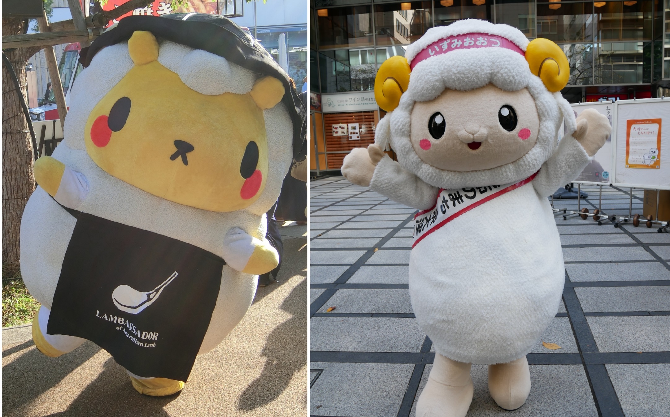 かわいい白いヒツジのぬいぐるみ——ばばちゃん様 （なお🫧さんの