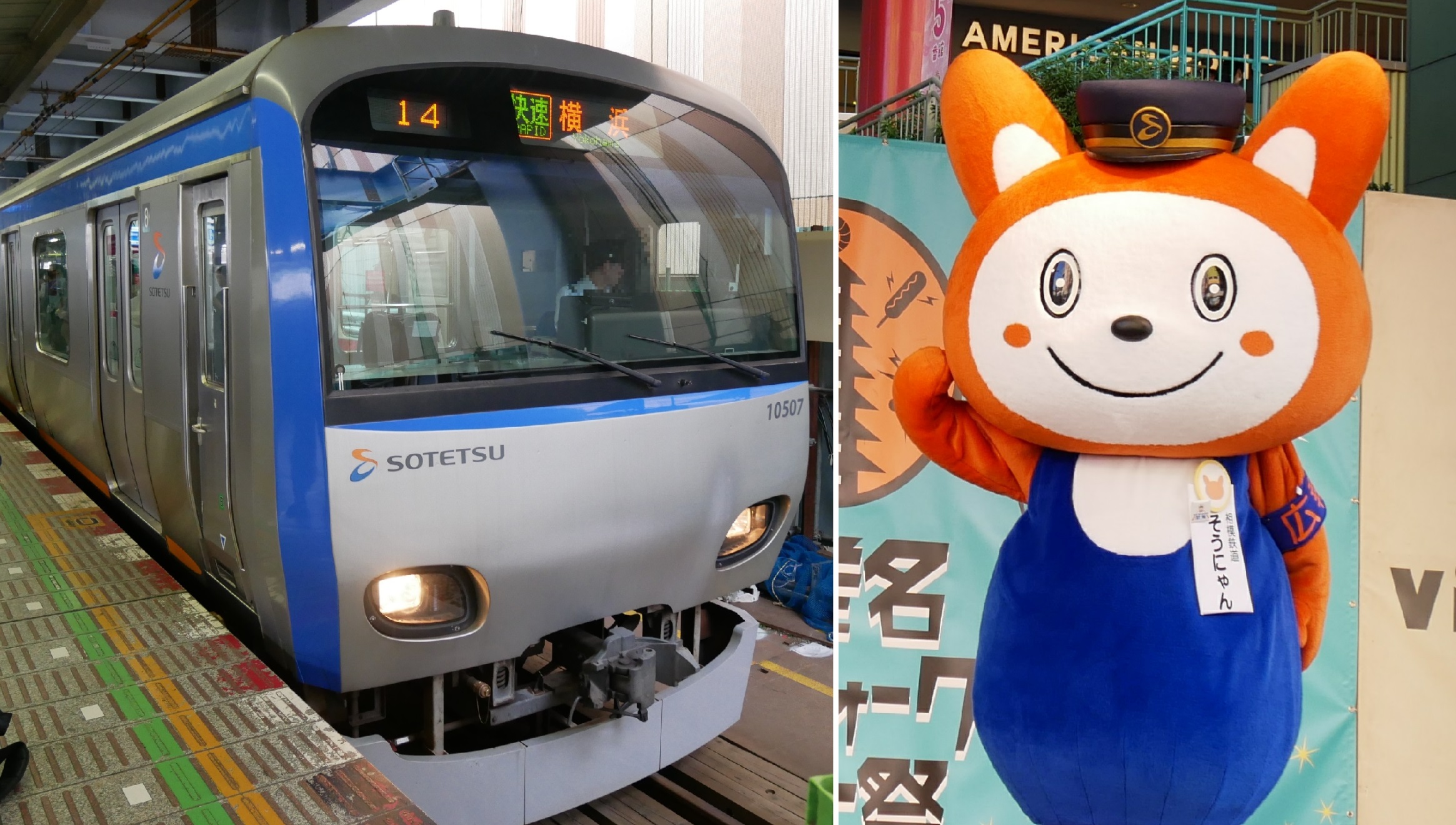 新品 巨大 そうにゃん 水色帽子 レア 入手困難 相鉄 相鉄線 特大