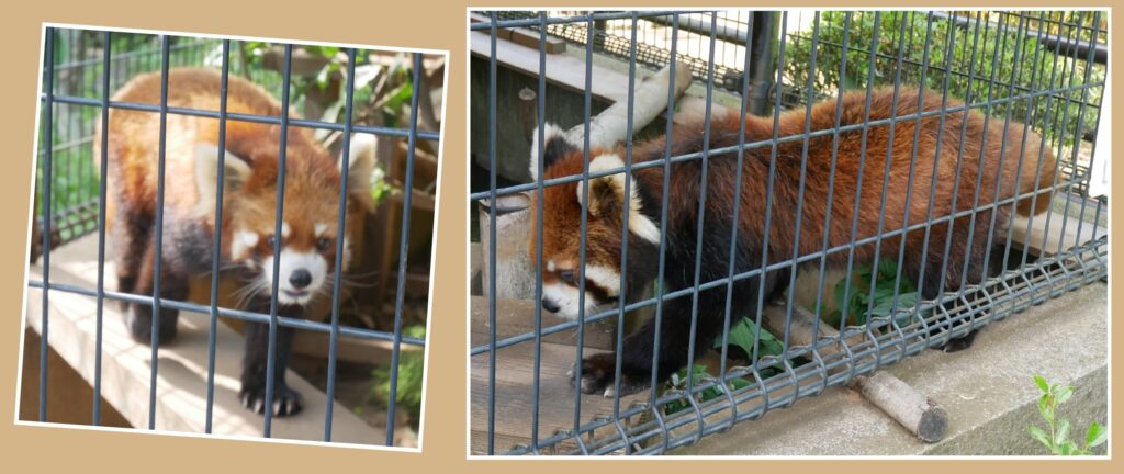 市川市動植物園