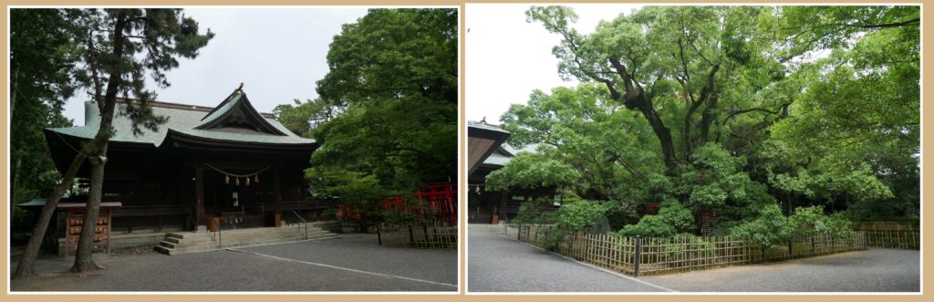 浜松八幡宮