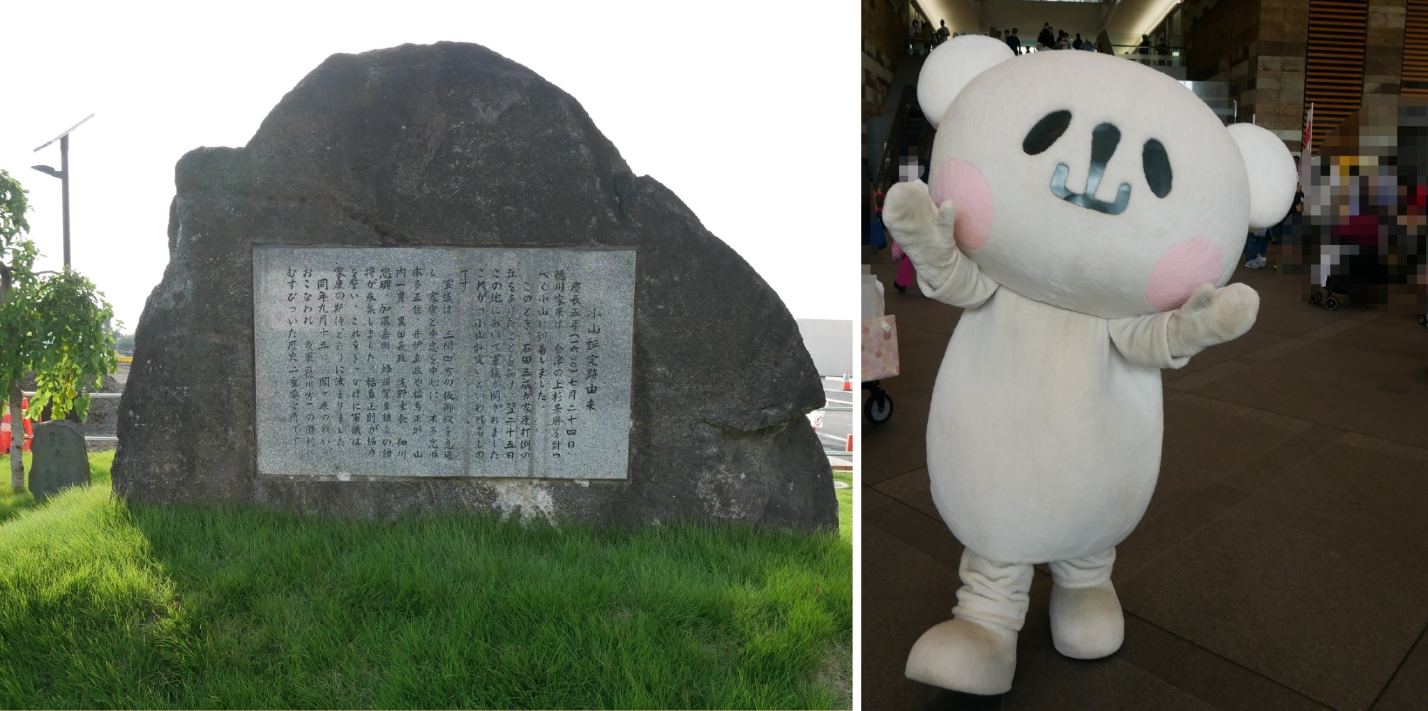 山のくまさん トラック 雅 金華山 クマ 桜ーさくら ブラック : トラック