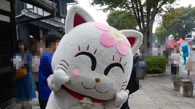 追い出し猫サクラ