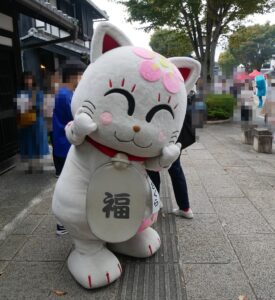 追い出し猫サクラ