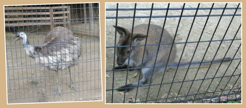 キャンベルタウン野鳥の森