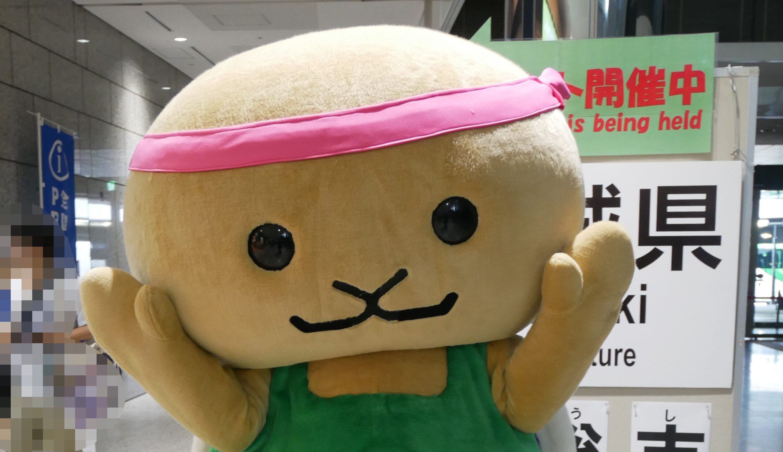 かめくん かめくんファイト！ (子ども参加かみしばい みんないっしょに