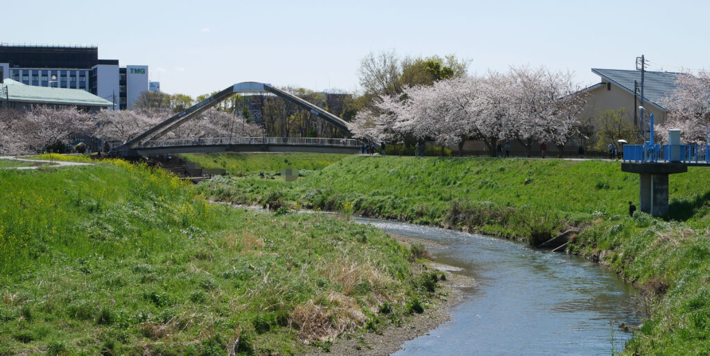 黒目川