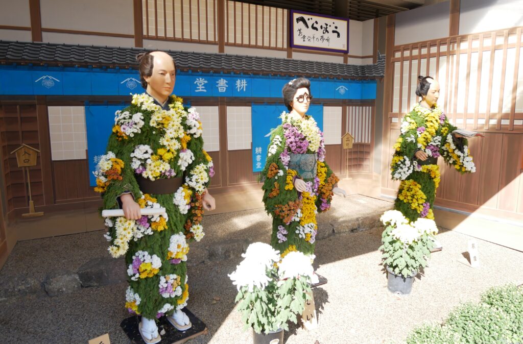 蔦屋重三郎の菊人形