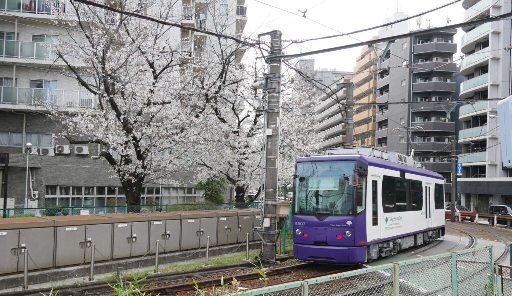 都電荒川線 東京さくらトラム