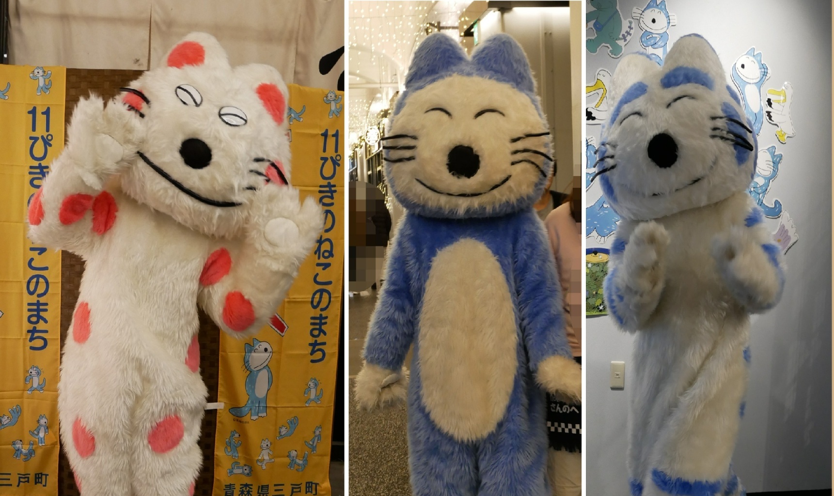 11ぴきのねこ」と「へんなねこ」写真集｜ゆるキャラ