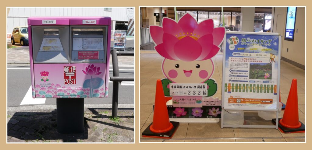 ちはなちゃん