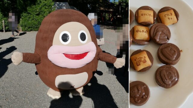 チョコジロー