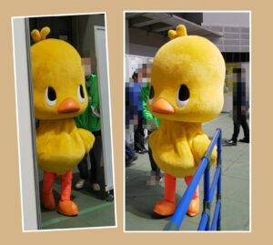 ひよこちゃん