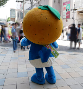 さがみかんきち