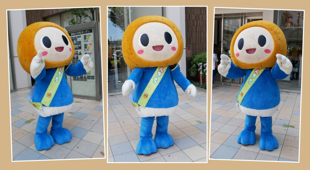 さがみかんきち