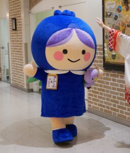 ブルベリッ娘とブルピヨ