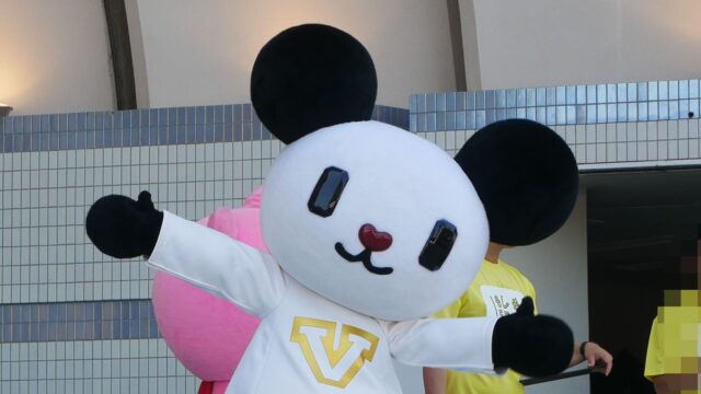 ゴーちゃん。