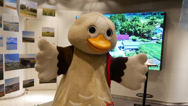 パタ崎さん