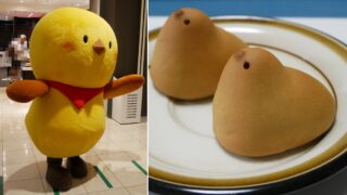 PiPi(ぴぴ) 東京ひよこ