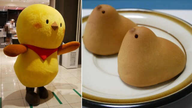 PiPi(ぴぴ)　東京ひよこ