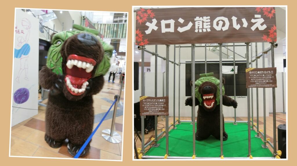 メロン熊