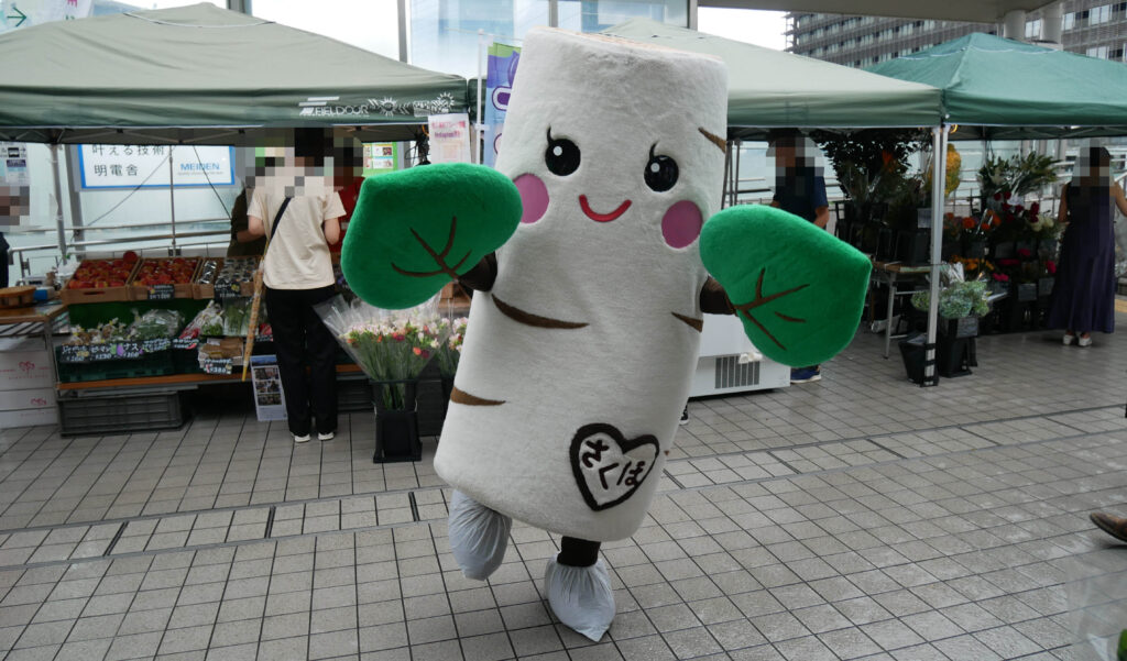 しらかばちゃん