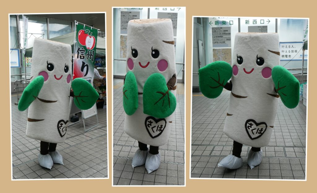 しらかばちゃん