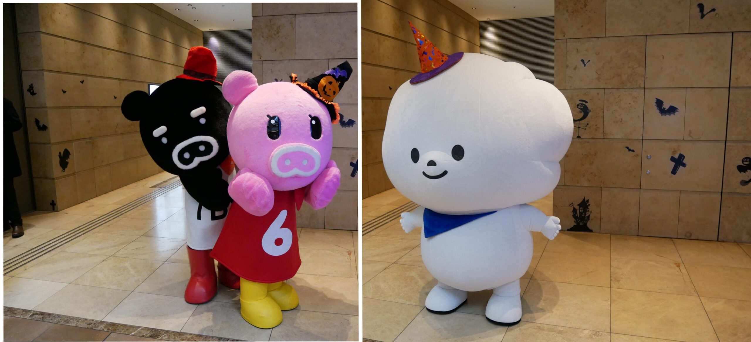 TBSのBooBo、Boona、ワクティ写真集｜ゆるキャラ