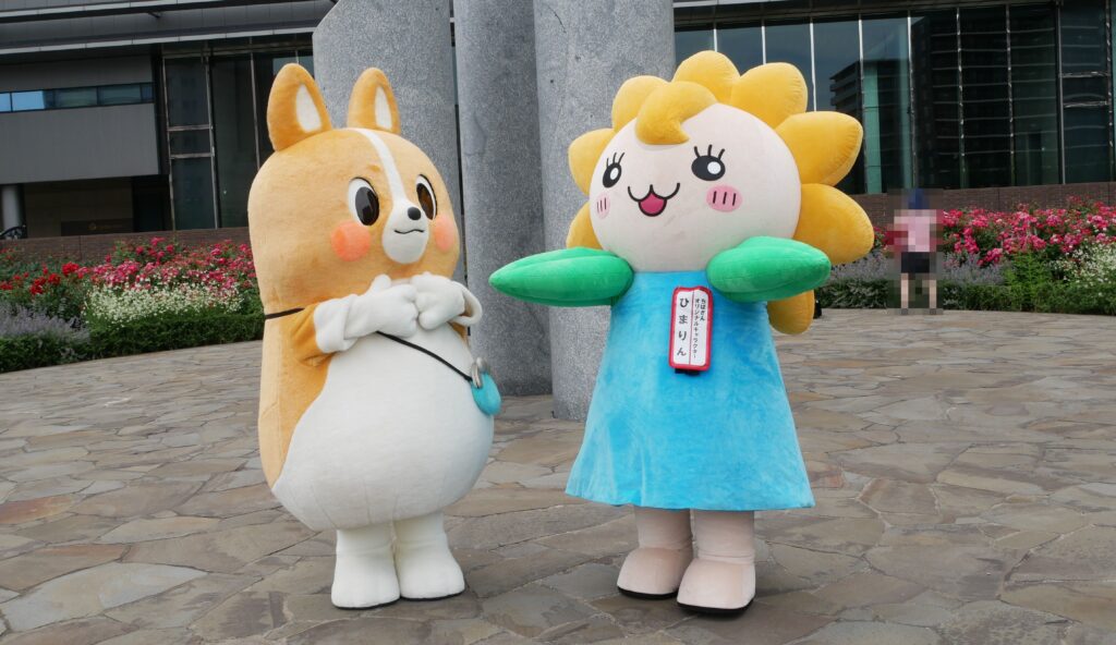 ちばコーギー
