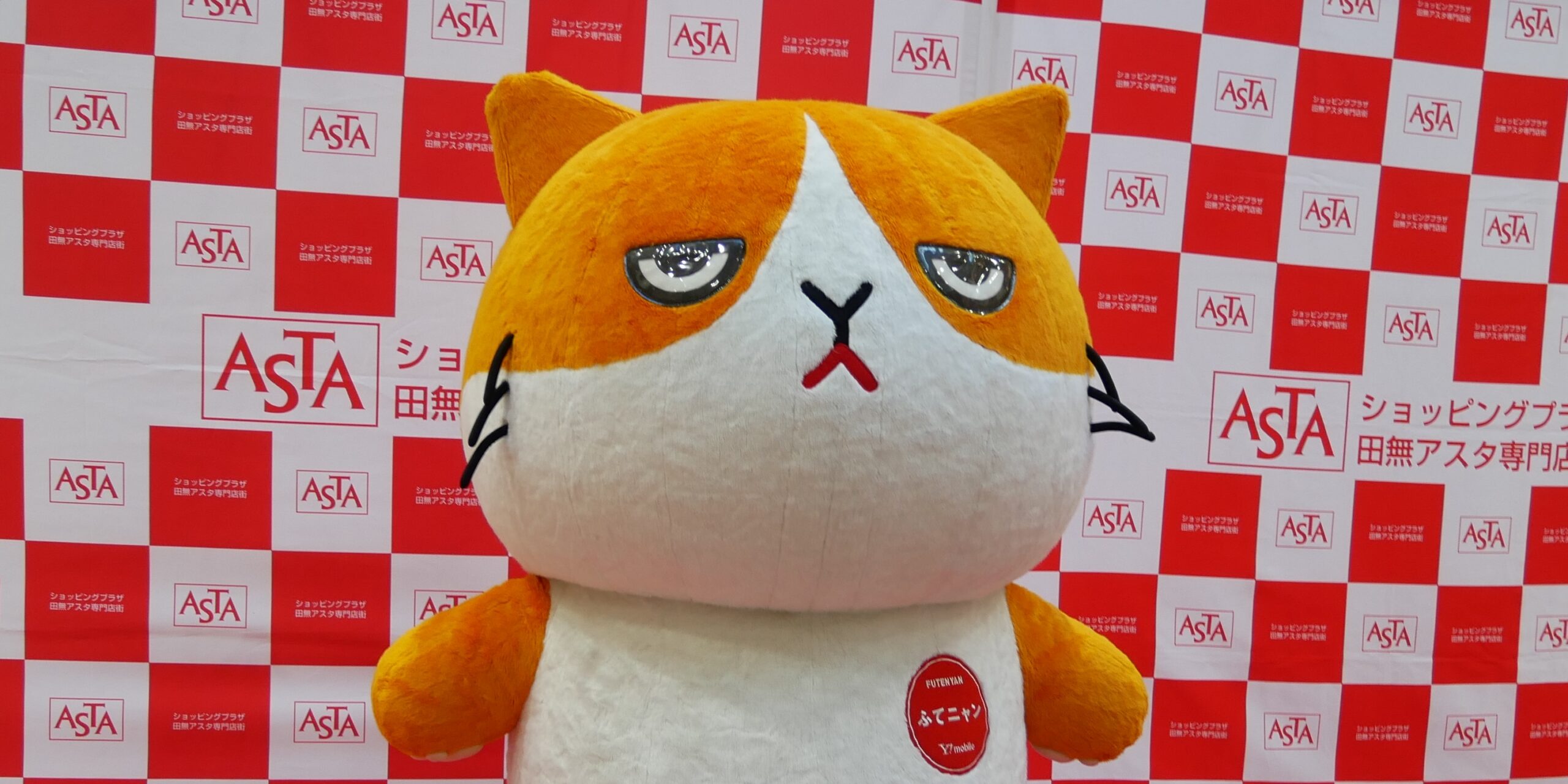 ワイモバイル(ソフトバンク)の「ふてニャン」写真集｜ゆるキャラ