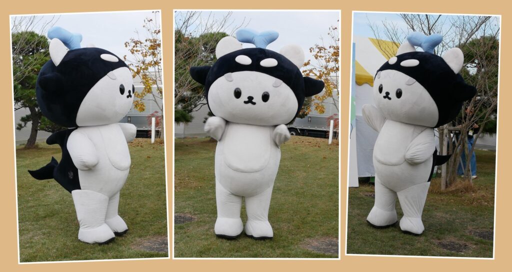 POLCASAN(ポルカサン)