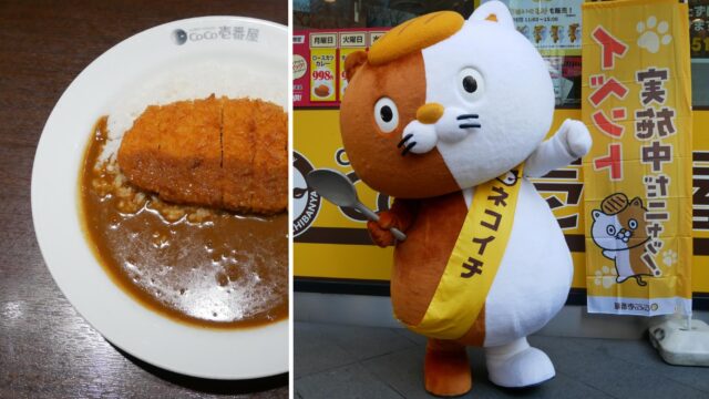 NeCo壱(ネコイチ)