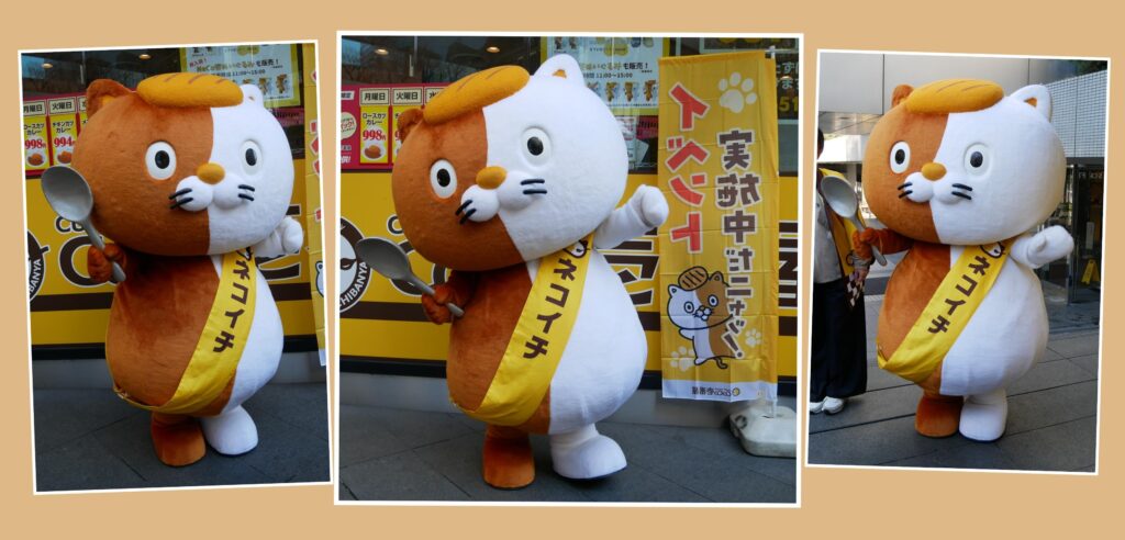 NeCo壱(ネコイチ)のロースカツカレーニャ