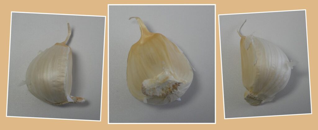 たっこにんにく