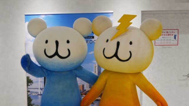 パッチョ 電パッチョ