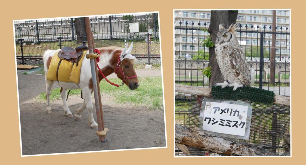 あらかわ遊園