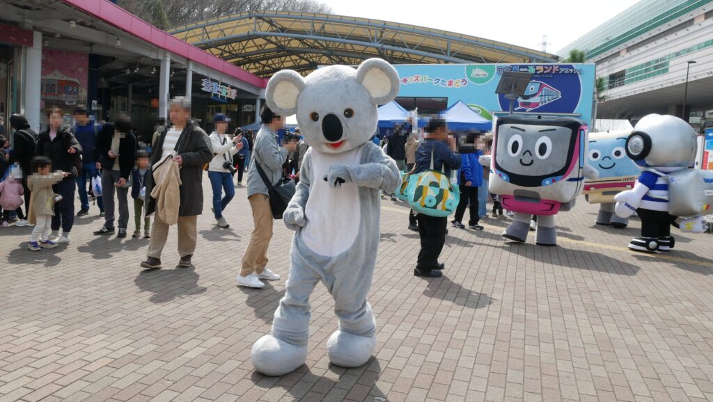 多摩動物公園　コアラ