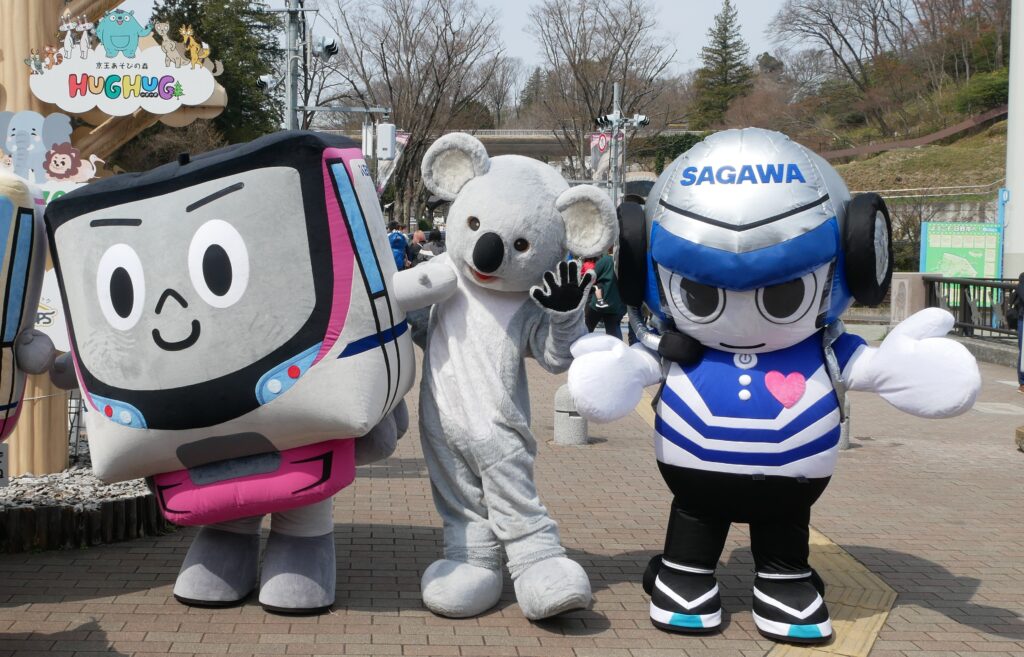 多摩動物公園　コアラ