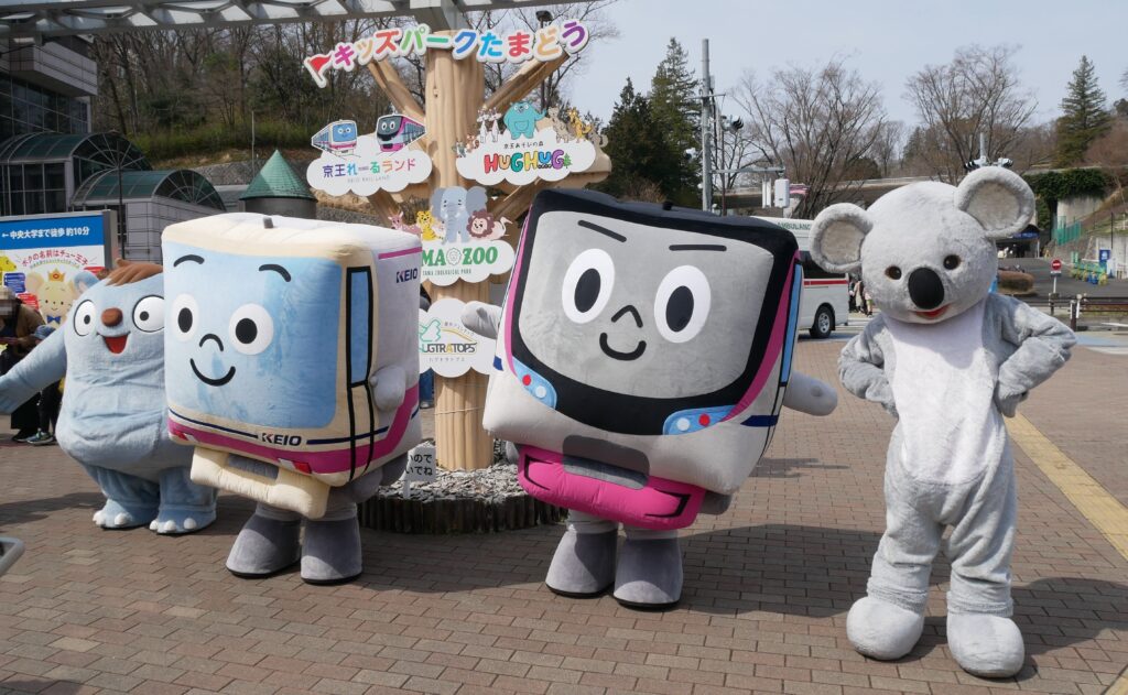 多摩動物公園　コアラ