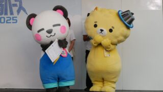 坂井ほや丸・さかいさんだー