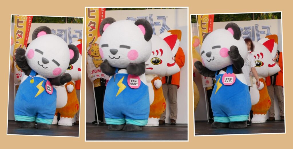 さかいさんだー