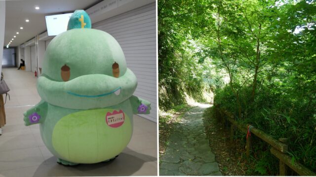 たまきょうりゅう