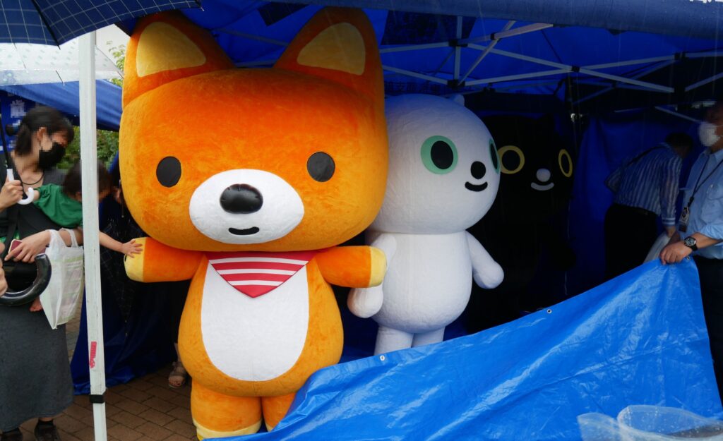 クロネコ シロネコ